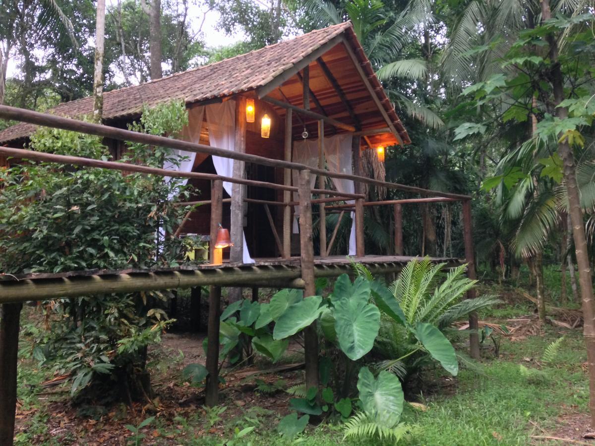 Hotel Glamping Mangarito Iporanga Exteriér fotografie